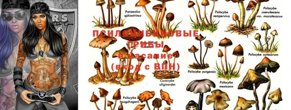 метадон Осинники