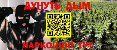 прущие крисы Гусев