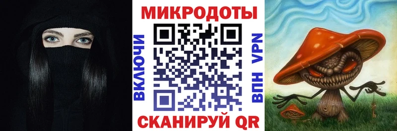 что такое   Полысаево  Галлюциногенные грибы Psilocybe 