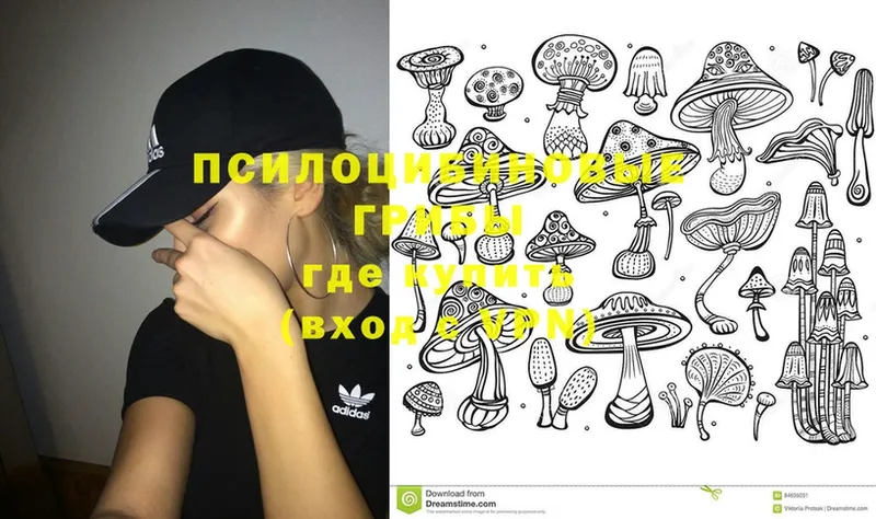 Галлюциногенные грибы MAGIC MUSHROOMS  Полысаево 