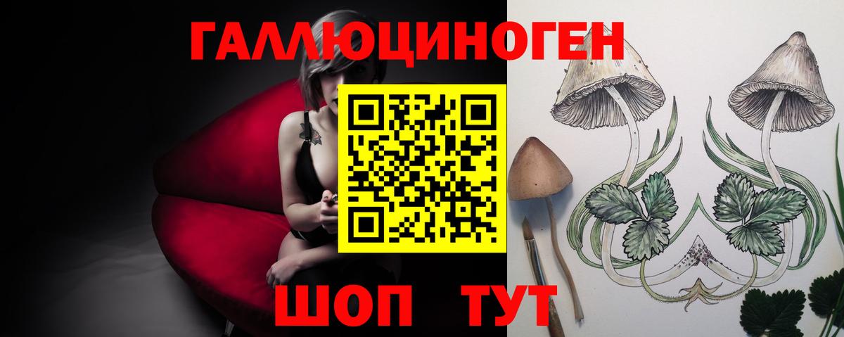 Псилоцибиновые грибы Magic Shrooms  Галлюциногенные грибы GOLDEN TEACHER  Полысаево 